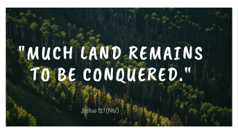 Much land remains to be conquered